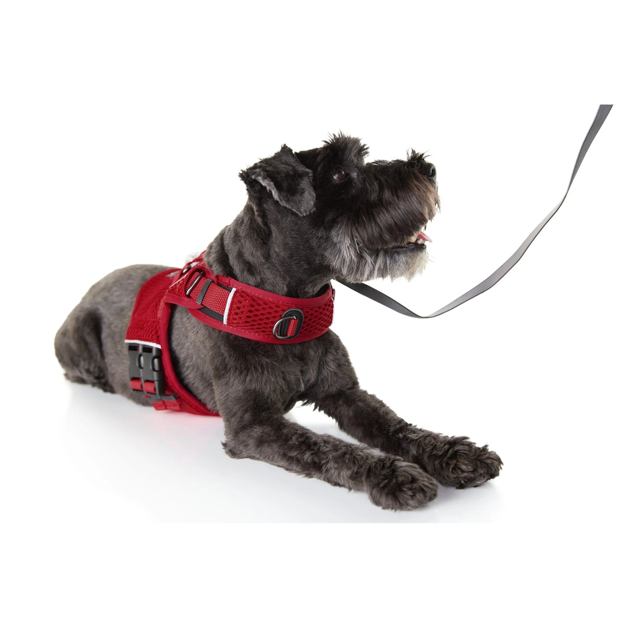 Sleepypod Martingale Dog Calming Harness - Image 8