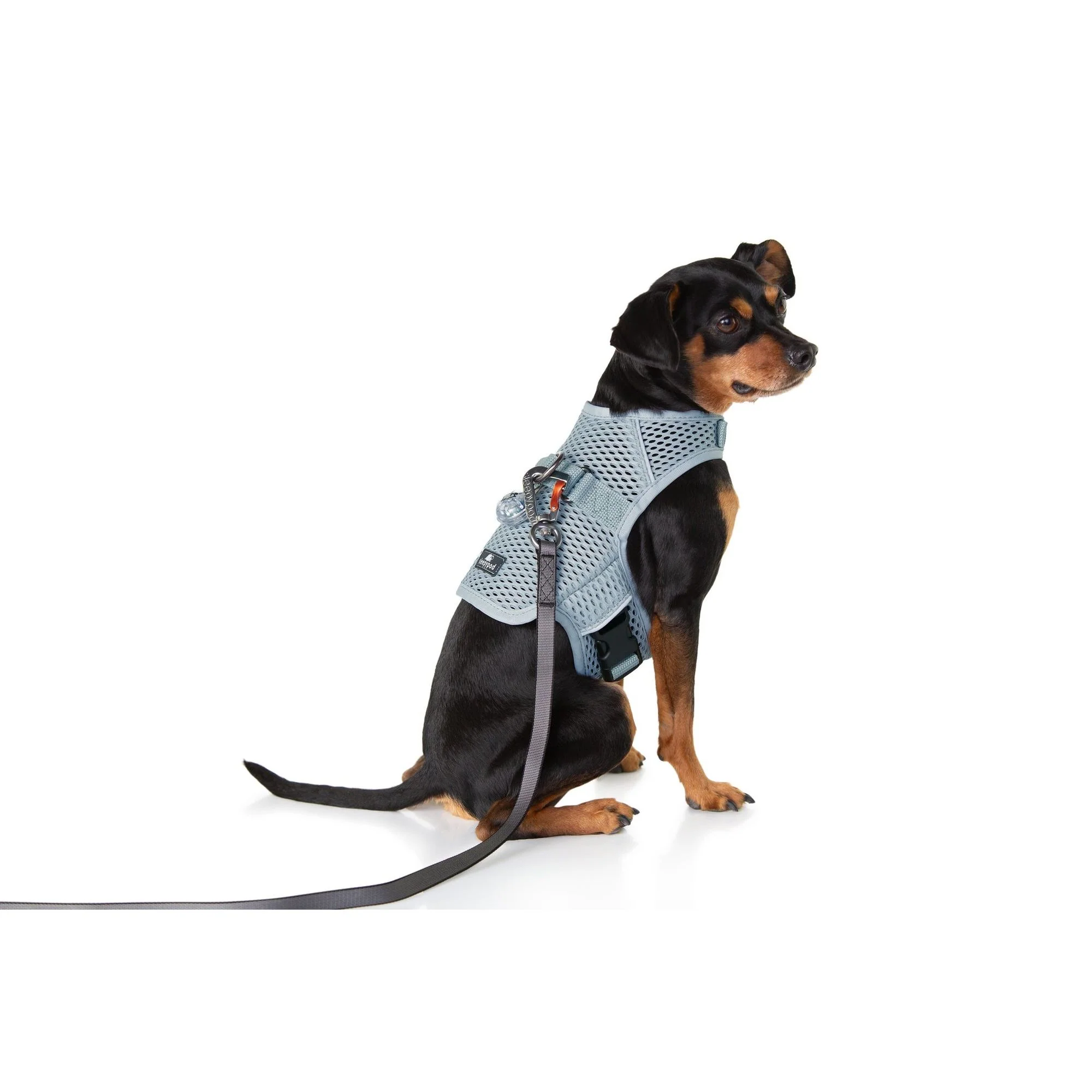 Sleepypod Martingale Dog Calming Harness - Image 9