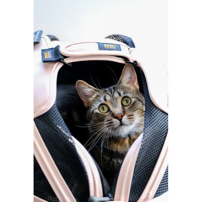 Sleepypod Mobile Pet Bed - Image 4