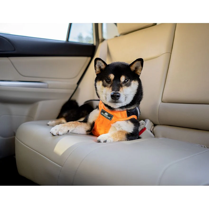Sleepypod Terrain Plus Dog Harness - Image 9