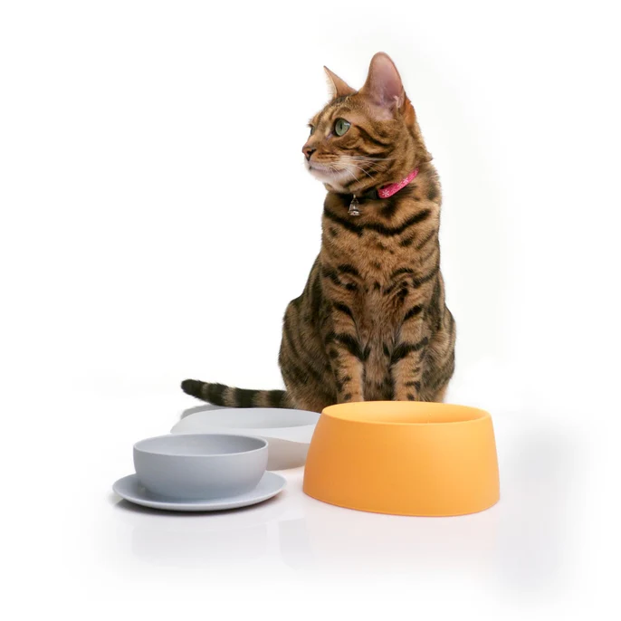 Sleepypod Yummy Travel Bowl - Image 17