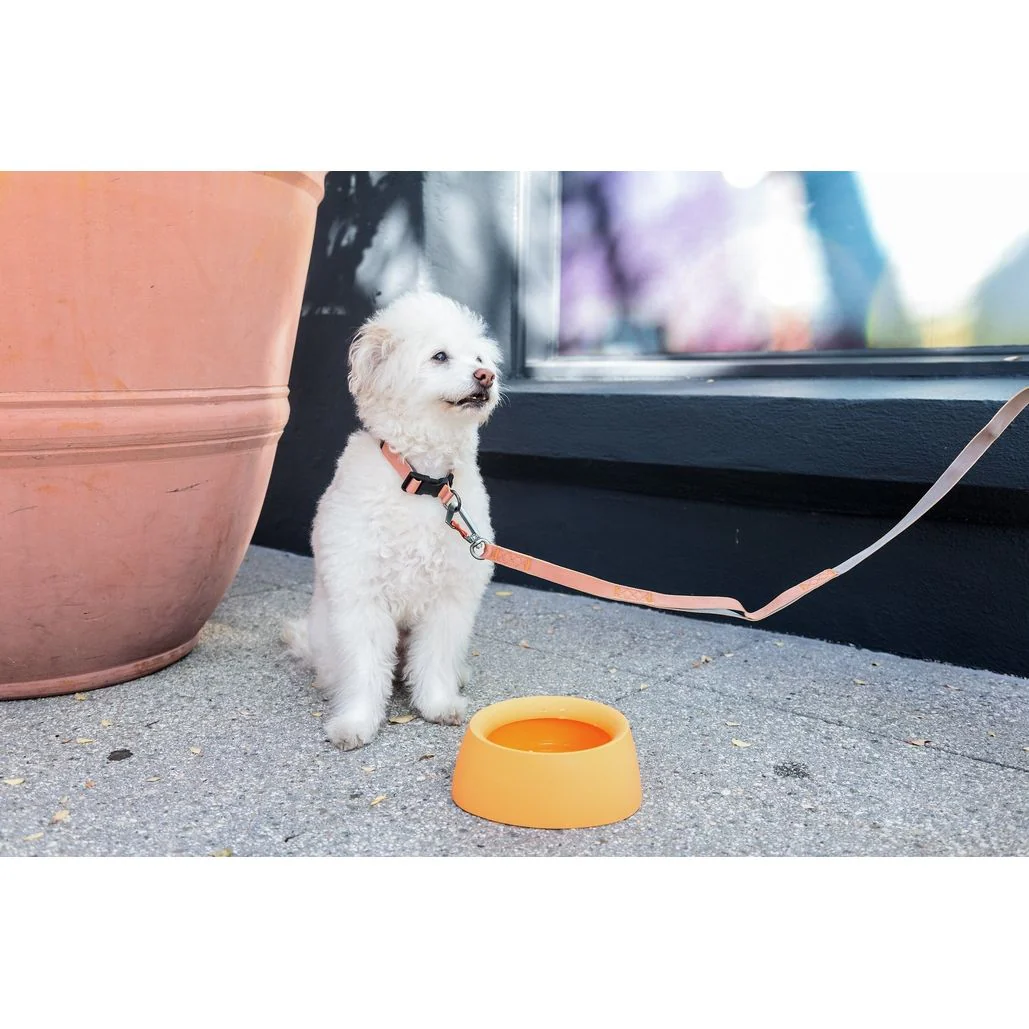 Sleepypod Yummy Travel Bowl - Image 3