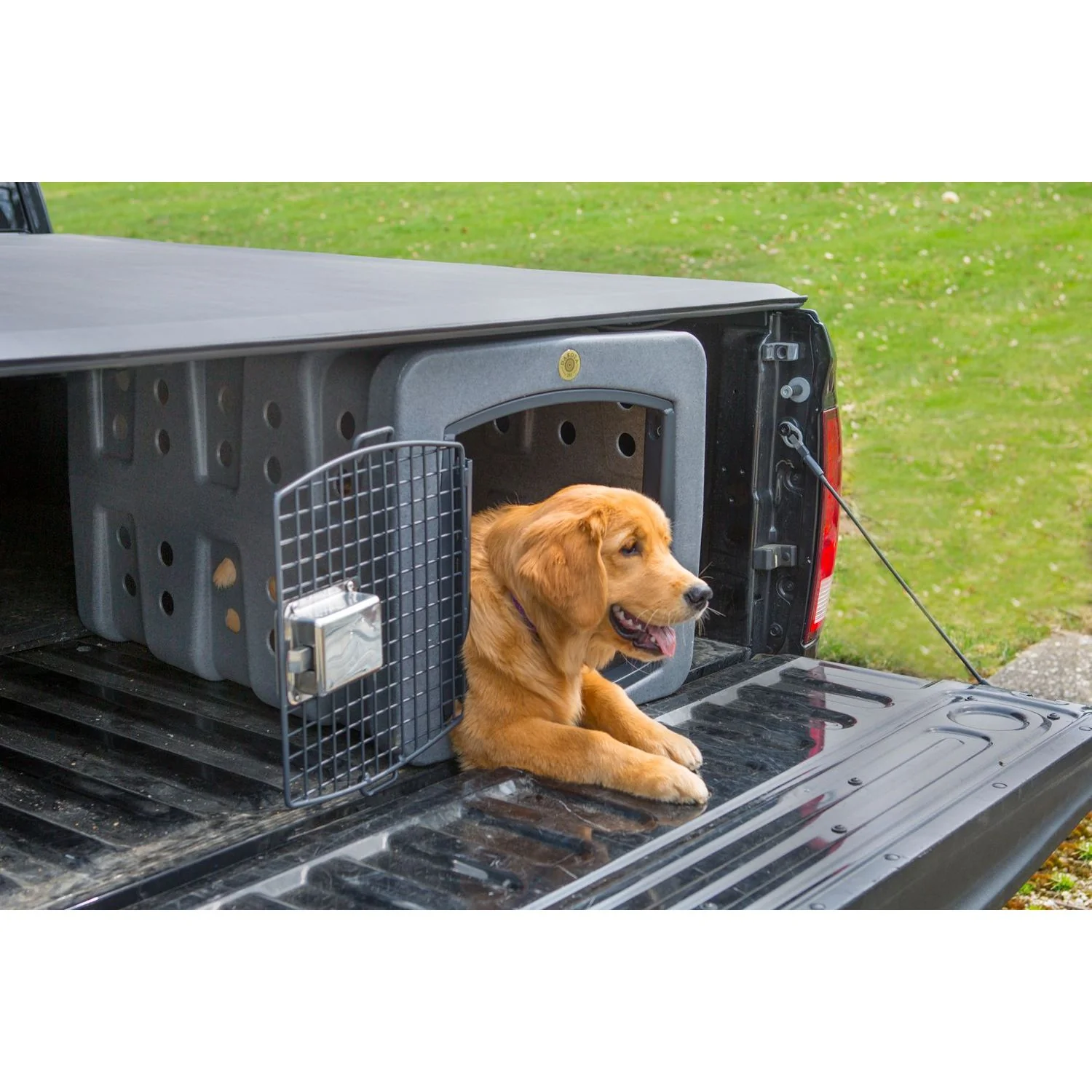 Dakota283 T1 Low Profile Kennel - Image 4